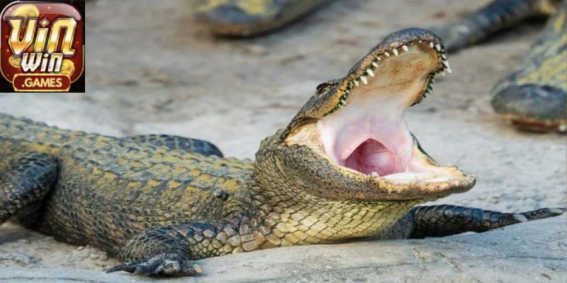 Một vài con số may mắn