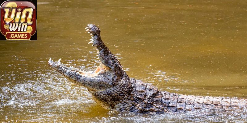 Ý nghĩa của giấc mộng tùy vào bối cảnh