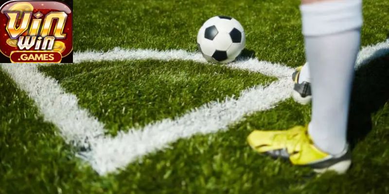 Những chiến lược thú vị